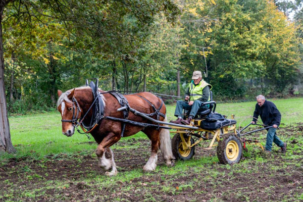 © La ferme de Paris (bois de Vincennes) - Paris.fr - Grand Paris Durable