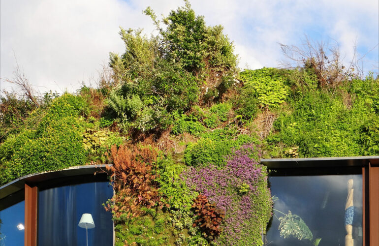 Mur végétal du musée que quai Branly à Paris – Crédit : Jean-Pierre Dalbéra / Wikimedia Commons - Grand Paris Durable