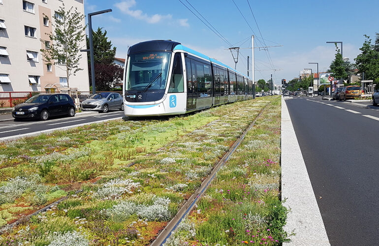 Tramway - © Ecovégétal - Ligne 9 - T3 grandparisdurable.org