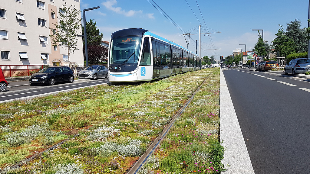 Tramway - © Ecovégétal - Ligne 9 - T3 grandparisdurable.org