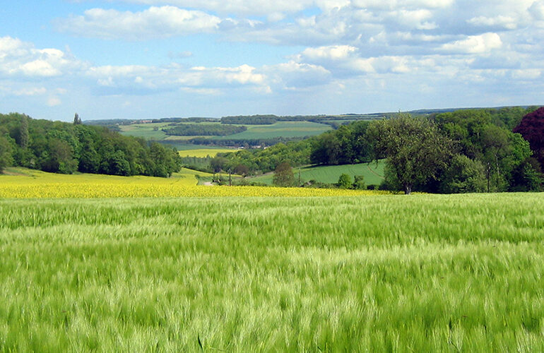 © Région Île-de-France - grandparisdurable.org