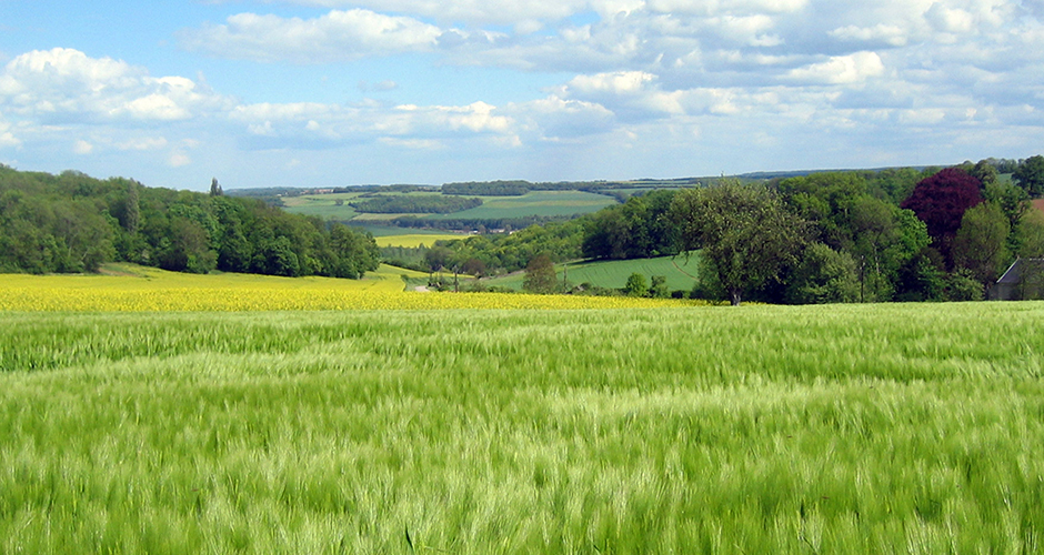 © Région Île-de-France - grandparisdurable.org